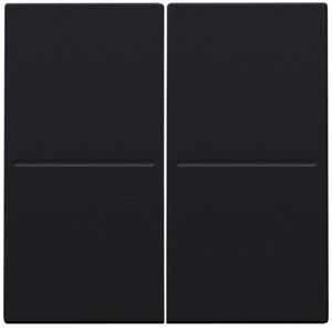 2-voudige toets RF dimschakelaar Hue BT EnOcean KNX black