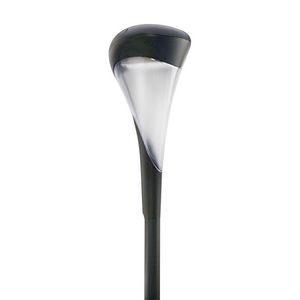Paaltoparmatuur BDS100 LED43/740 I DW50 DGR D9 C1K