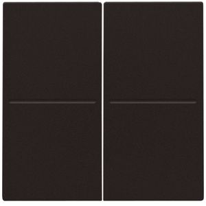 2-voudige toets RF dimschakelaar Hue BT EnOcean KNX d.brown