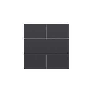 Afwerkingsset 4-voudige pot.vrij knop 24V anthracite