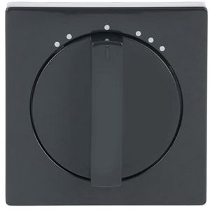 Centraalplaat + greep voor 2711U f-antraciet (1740 DRL-81-503)