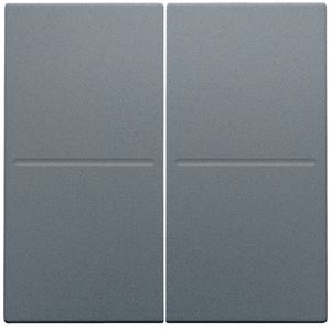 2-voudige toets RF dimschakelaar Hue BT EnOcean KNX blue gr