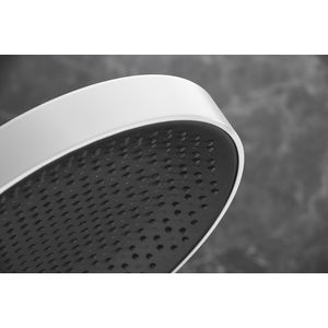 Rainfin. PowderRain 360 3 straalsoorten hoofddouche mat wit met douchearm