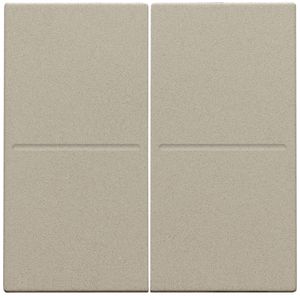 2-voudige toets RF dimschakelaar Hue BT EnOcean KNX champang