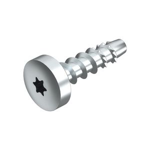 Schroefanker brandwerend panhead, aandrijving T30 VVE=100