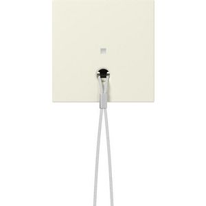 Afdekking ctrl.v. trekschakelaarSystem 55 creme wit