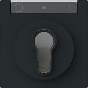 Centraalplaat slot art-matzwart (1755 SL/PZ-45M)