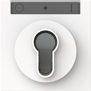 Centraalplaat slot art-matwit (1755 SL/PZ-44M)