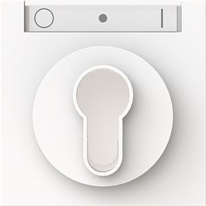 Centraalplaat slot art-wit (1755 SL/PZ-44G)