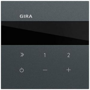 Inbouwradio IP System 70 antracit(gel.)