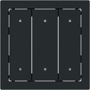 Bedieningswip 3v met lens art-matzwart (2570-30-45M)