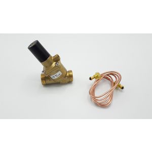 Delta-P regelaar 7733487