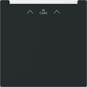 Centraalplaat voor kaartschakelaar met RFID art-matzwart (1792 RFID-45M)