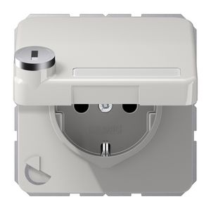 Wandcontactdoos CD500 li.gr.klapd. tekstvenst. slot