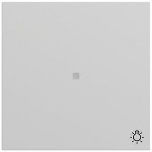 Wip ctrl.v. + sym.licht System 70 gris m(gel.)