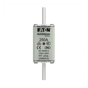 Zekering laagsp. 250A AC 500V NH1 gL/gG dubbele meld VVE=3