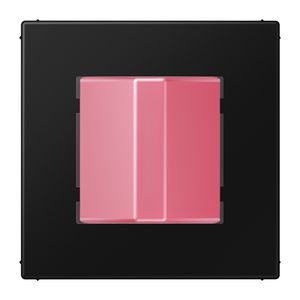 Noodoproepsysteem Lichtsignaal LS range grafietzwart mat