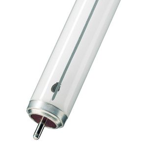TL-buis TL-X Fa6 20W/33 Cool wit T12 38x611