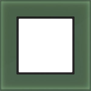 LED-afdekraam 1-voudig, A.8, forest glass, matglas