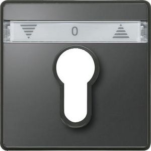 "Centraalplaat voor jaloezieschakelaar - Antraciet - IP44 -