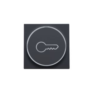 Afwerkingsset doorschijnende ring sleutelsymb. 6A antracite