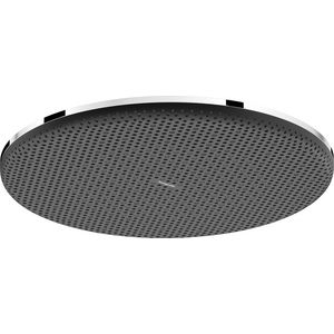 Hoofddouche Raindance Alive S 300mm 1 straalsoort chroom