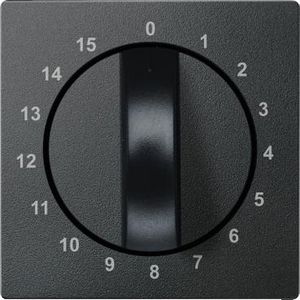 Centraalplaat de 15 min. tijdschakelaar Antraciet Systeem M