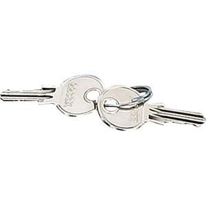 Reservesleutel voor deurslot (set van 2 stuks)