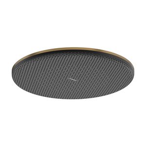 Hoofddouche Raindance Alive S 300 1 straalsoort Brushed Bronze