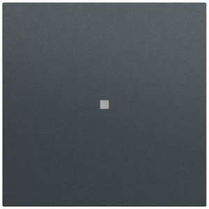 Wip ctrl.v. System 70 antracit(gel.)