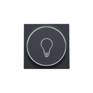 Afwerkingsset doorschijnende ring lampsymbool 6A antracite c