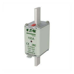 Zekering laagsp. 100A AC 500V NH1 aM dubbele melder VVE=3