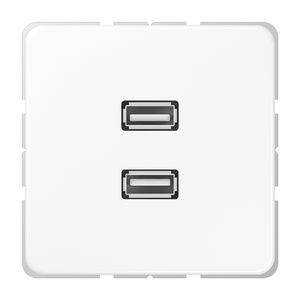 Afdekking alpin wit voor 2xUSB CD500