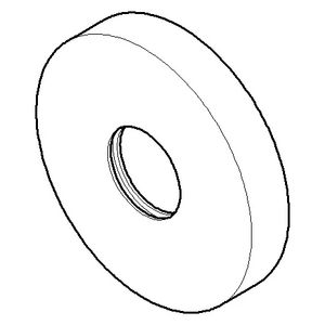 Rozet 55x9,5mm Champagne (22kt Goud)