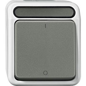 Tweepolige schakelaar Opbouw IP44 Steekklemmen Grij Merten AQUASTAR IP44
