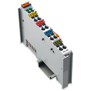 2-kanaals analoge uitgang 4-20mA lichtgrijs