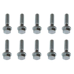 Schroef M8x30 (10 st.)