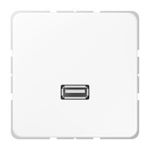 Afdekking alpin wit voor 1xUSB CD500