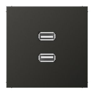 Afdekking antraciet voor 2xUSB LS