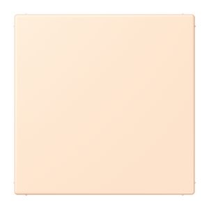 Centraalplaat blind klembevestiging LC32123