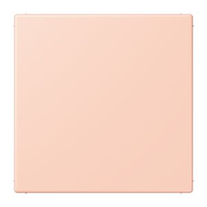 Centraalplaat blind klembevestiging LC32112