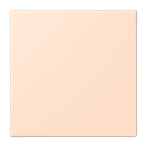 Centraalplaat blind klembevestiging LC32091