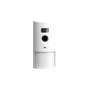 Draadloze bewegingsdetector 12m. met camera RF12PIRCAM Nexus Safe