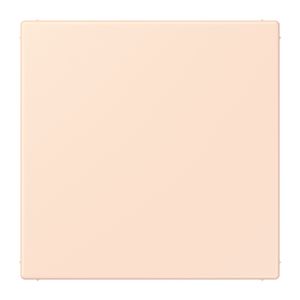 Centraalplaat blind klembevestiging LC32082