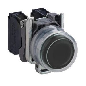 PUSHBUTTON