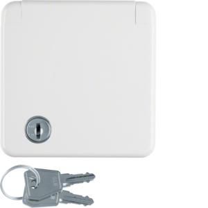 Wandcontactdoos RA sleutel volle afdekplaat berker IP44 inb