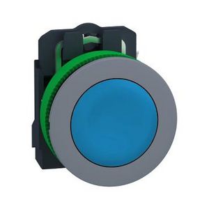 Flush mounted blue Flush caps pushbutton 1NO screw clamp