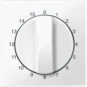CentRALplate time switch insert 15min polar white glossy Sys