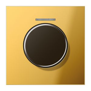 Afdekking LS990 KNX Goud PL.m.li.venster