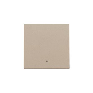 Afwerkingsset lens enkelvoudige elektr. Schakelaar champagne